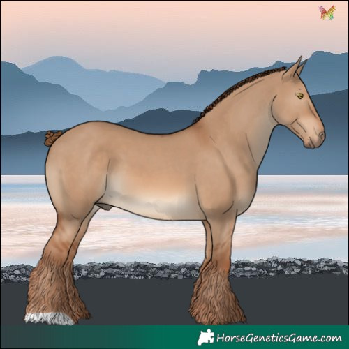 Horse Color:Red Dun 