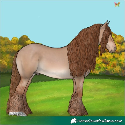 Horse Color:Red Dun 