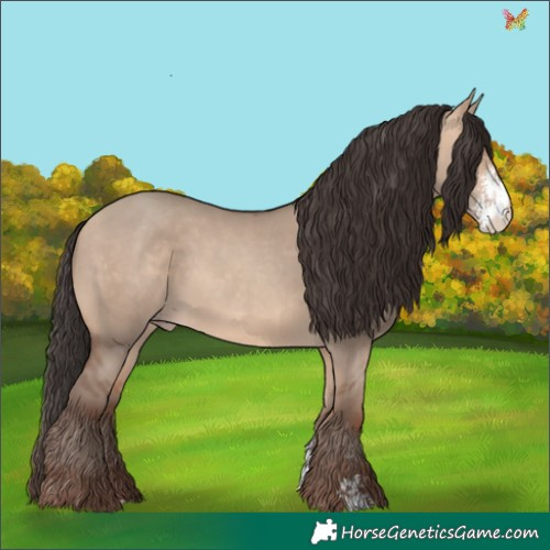 Horse Color:Sable Champagne Dun Sabino 