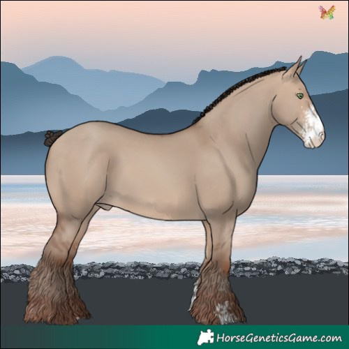 Horse Color:Sable Champagne Dun Sabino 