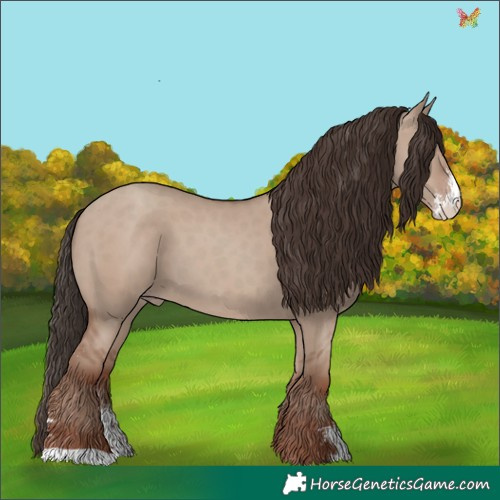 Horse Color:Classic Champagne Dun Sabino 