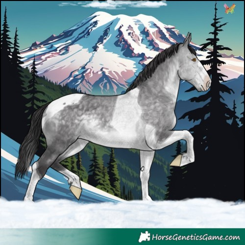Horse Color:Platinum Buckskin Dun Tobiano 
