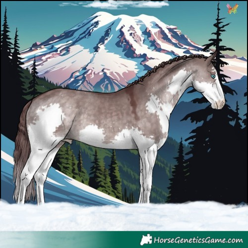 Horse Color:Platinum Chocolate Brown Dun Splash 