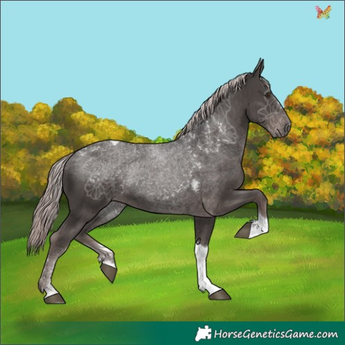 Horse Color:Platinum Liver Chestnut Tobiano 