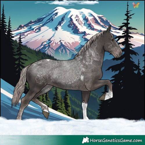 Horse Color:Platinum Liver Chestnut Tobiano 