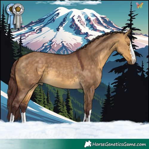 Horse Color:Chocolate Buckskin Dun 