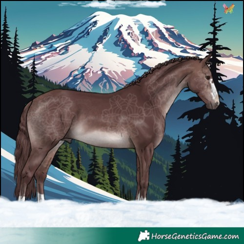 Horse Color:Platinum Chocolate Bay 