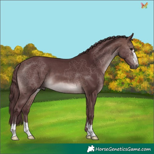 Horse Color:Platinum Chocolate Bay 