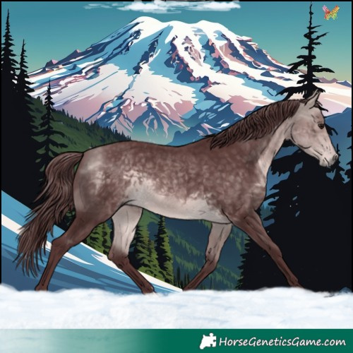 Horse Color:Platinum Chocolate Buckskin 