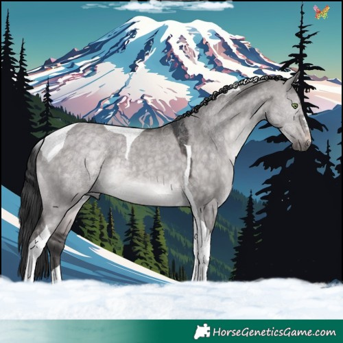 Horse Color:Platinum Brown Dun Tobiano 