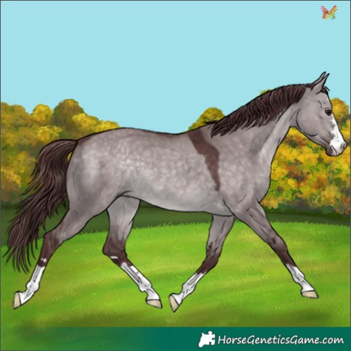 Horse Color:Platinum Chocolate Brown Dun 