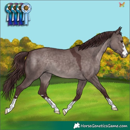 Horse Color:Platinum Chocolate Brown Dun 