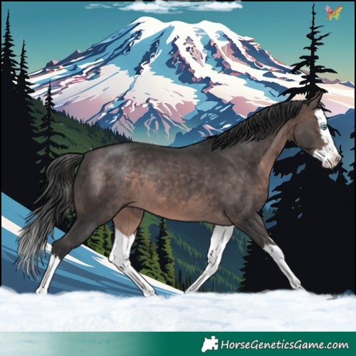 Horse Color:Platinum Brown Splash 