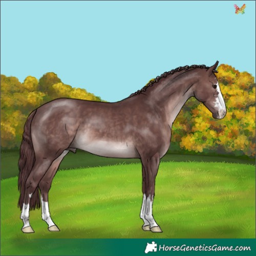 Horse Color:Platinum Chocolate Brown 