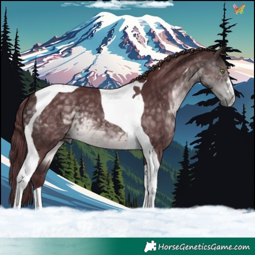 Horse Color:Platinum Chocolate Buckskin Tobiano 