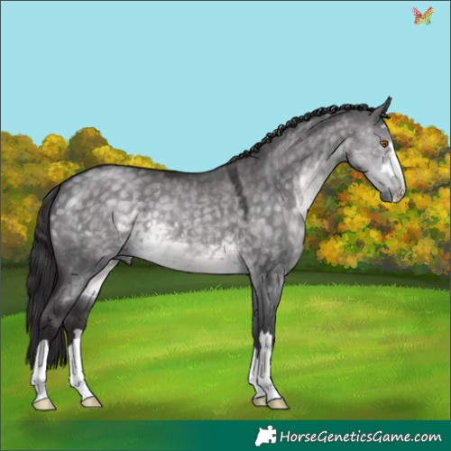 Horse Color:Platinum Buckskin Dun 