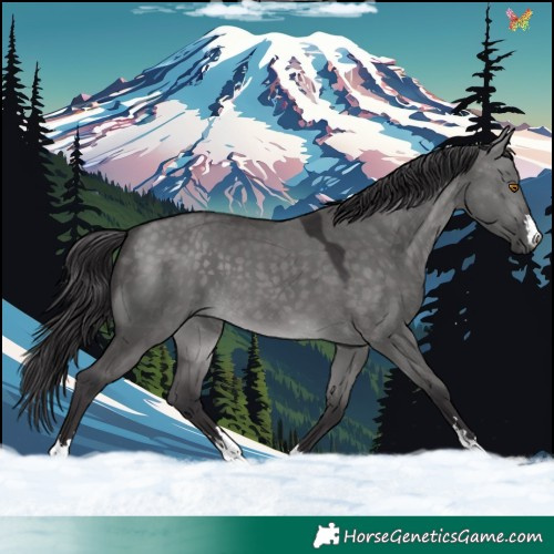 Horse Color:Platinum Buckskin Dun 