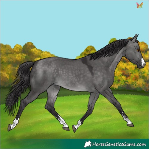 Horse Color:Platinum Buckskin Dun 