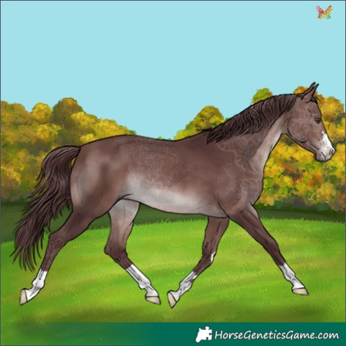 Horse Color:Platinum Chocolate Brown 