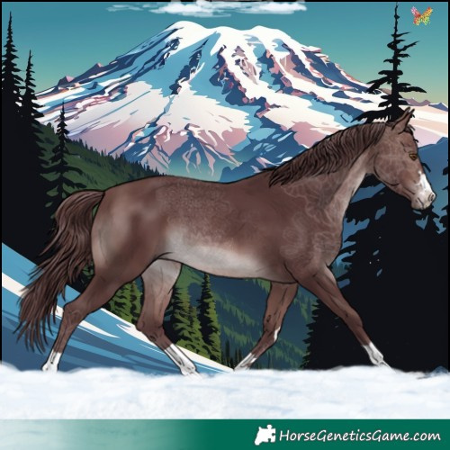Horse Color:Platinum Chocolate Brown 