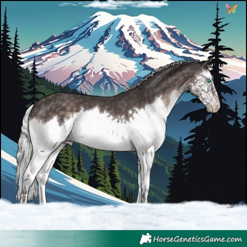Horse Color:Platinum Silver Brown Splash 