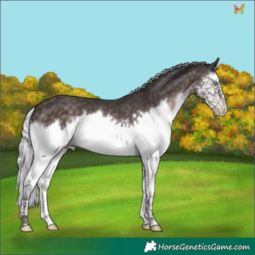 Horse Color:Platinum Silver Brown Splash 