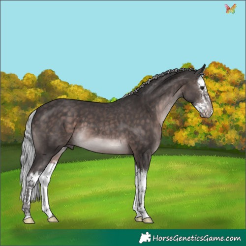 Horse Color:Platinum Silver Brown Splash 