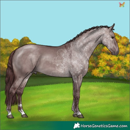 Horse Color:Platinum Chocolate Brown Dun 