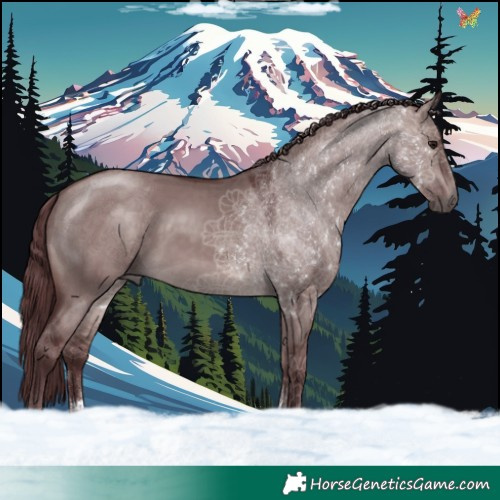 Horse Color:Platinum Chocolate Brown Dun 