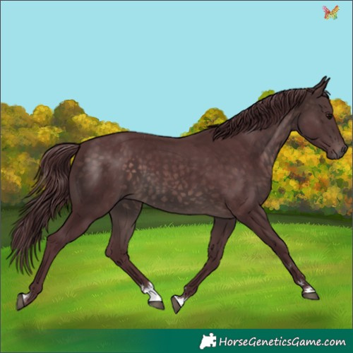 Horse Color:Platinum Chocolate Brown 