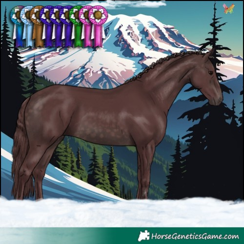 Horse Color:Platinum Chocolate Brown 