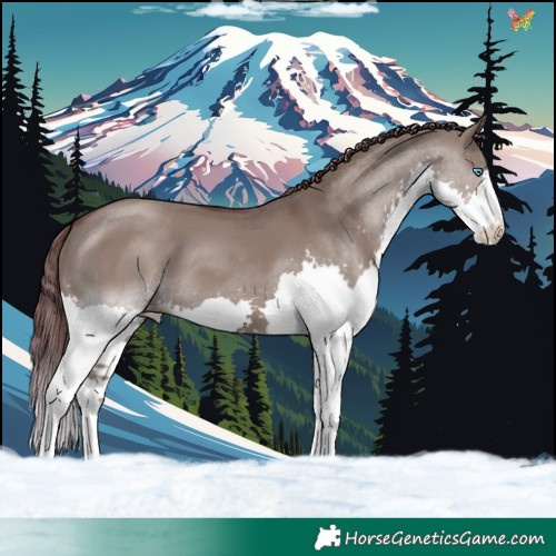 Horse Color:Platinum Chocolate Smoky Grullo Splash 
