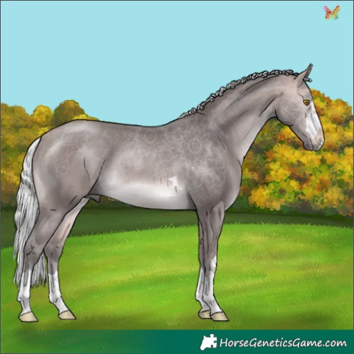 Horse Color:Platinum Silver Buckskin 