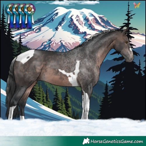 Horse Color:Platinum Brown Tobiano 