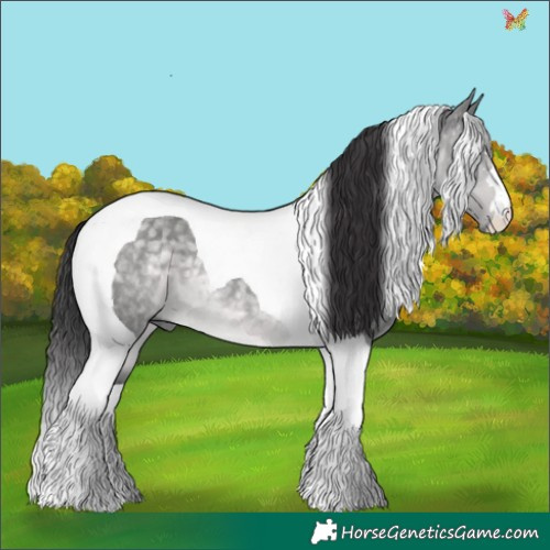 Horse Color:Platinum Buckskin Dun Tobiano 