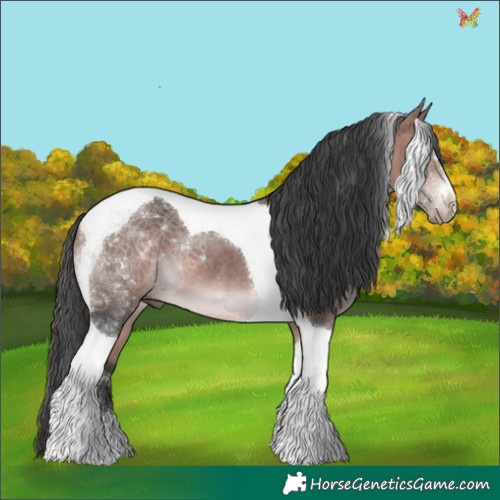 Horse Color:Platinum Bay Tobiano 