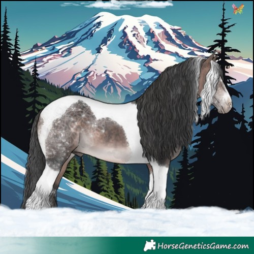 Horse Color:Platinum Bay Tobiano 