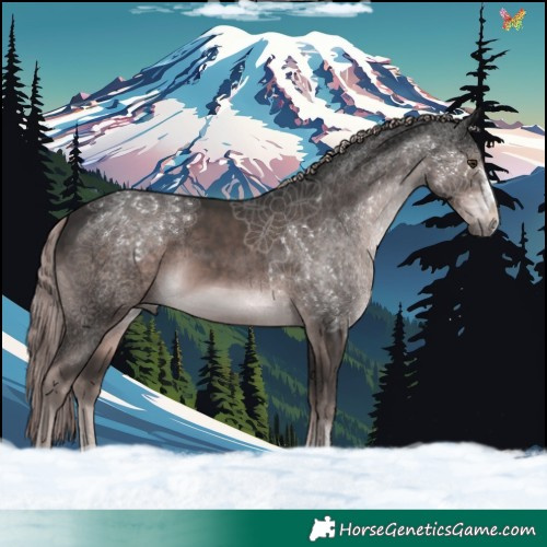 Horse Color:Platinum Liver Chestnut 