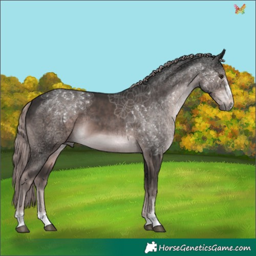 Horse Color:Platinum Liver Chestnut 