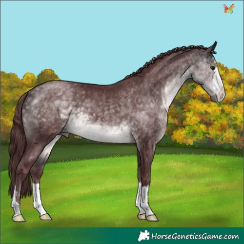 Horse Color:Platinum Chocolate Buckskin 