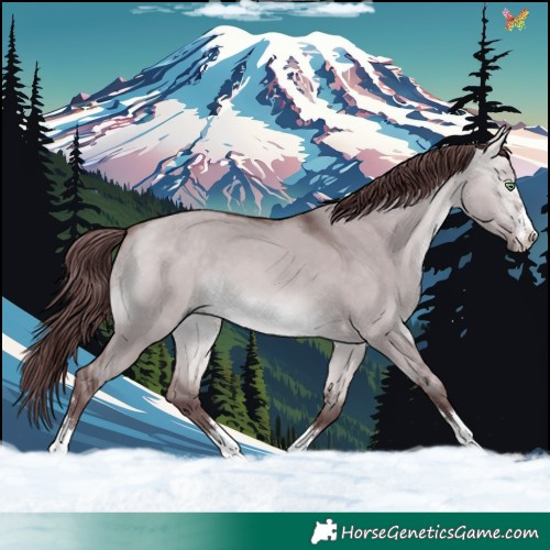 Horse Color:Platinum Chocolate Buckskin Dun 