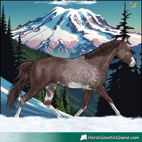Horse Color:Platinum Chocolate Black 
