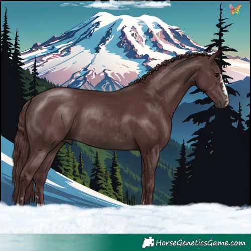 Horse Color:Platinum Chocolate Brown 