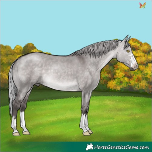 Horse Color:Platinum Silver Brown Dun 