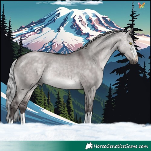Horse Color:Platinum Silver Brown Dun 