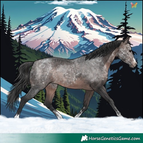 Horse Color:Platinum Brown 