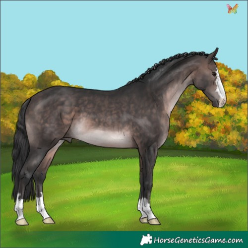 Horse Color:Platinum Brown 
