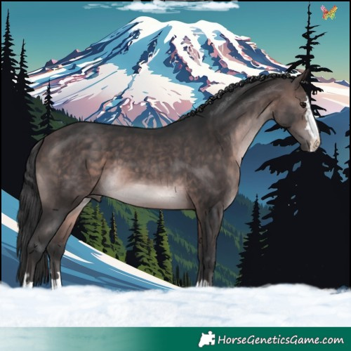 Horse Color:Platinum Brown 