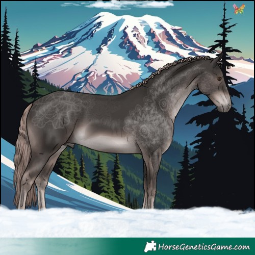 Horse Color:Platinum Liver Chestnut 
