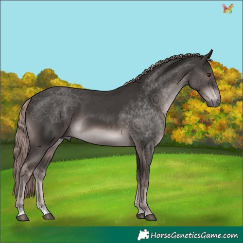 Horse Color:Platinum Liver Chestnut 